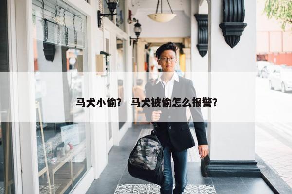 马犬小偷？ 马犬被偷怎么报警？