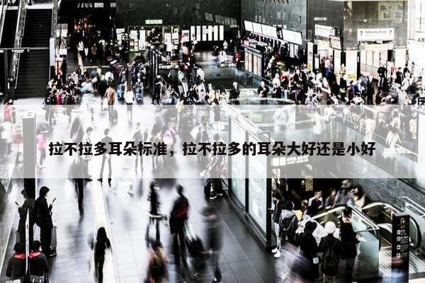 拉不拉多耳朵标准，拉不拉多的耳朵大好还是小好