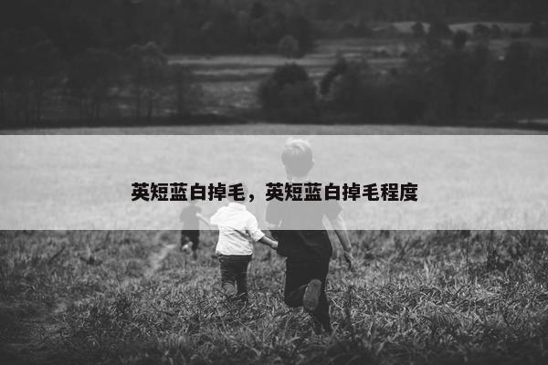 英短蓝白掉毛，英短蓝白掉毛程度