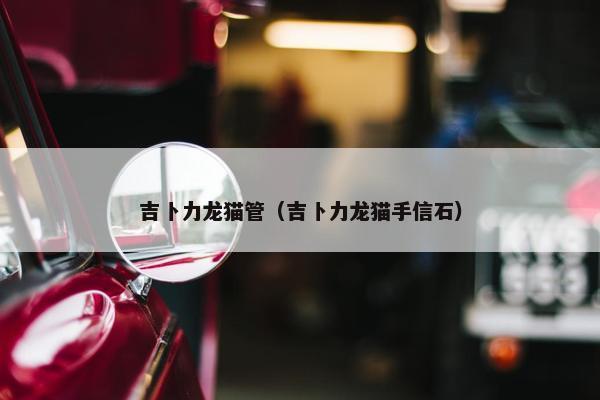 吉卜力龙猫管（吉卜力龙猫手信石）