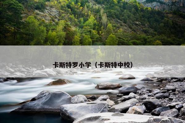 卡斯特罗小学（卡斯特中校）