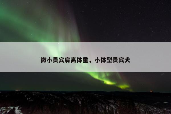 微小贵宾肩高体重，小体型贵宾犬