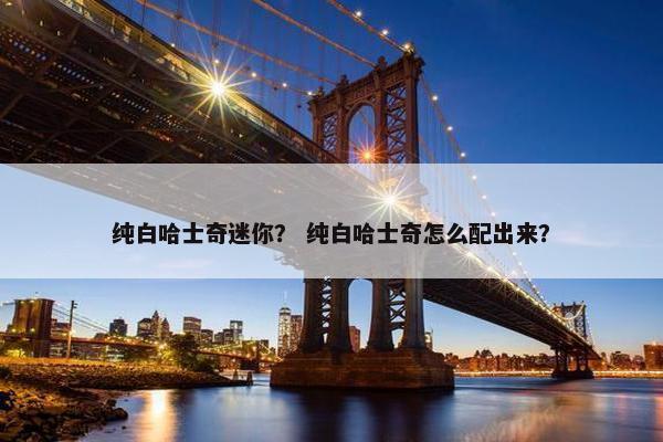 纯白哈士奇迷你？ 纯白哈士奇怎么配出来？