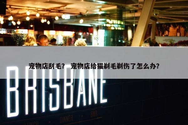 宠物店刮毛？ 宠物店给猫剃毛剃伤了怎么办？