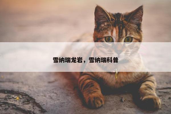 雪纳瑞龙岩，雪纳瑞科普
