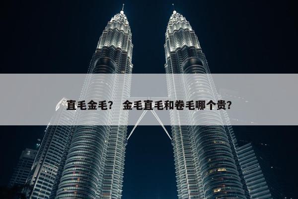 直毛金毛？ 金毛直毛和卷毛哪个贵？