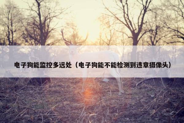 电子狗能监控多远处（电子狗能不能检测到违章摄像头）