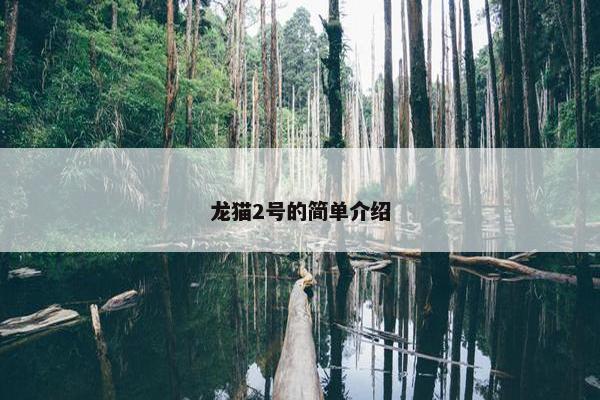 龙猫2号的简单介绍