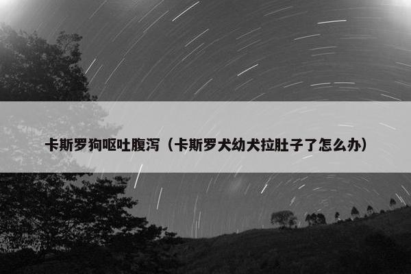 卡斯罗狗呕吐腹泻（卡斯罗犬幼犬拉肚子了怎么办）