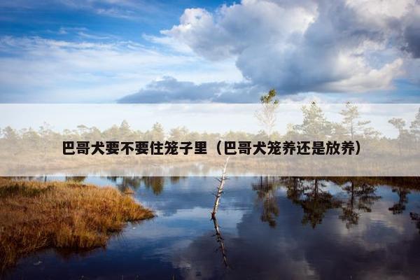 巴哥犬要不要住笼子里（巴哥犬笼养还是放养）