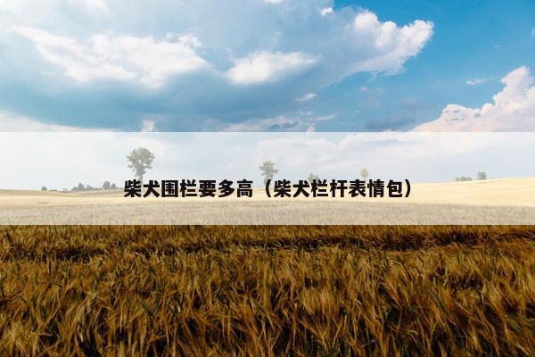 柴犬围栏要多高（柴犬栏杆表情包）
