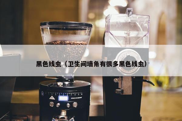 黑色线虫（卫生间墙角有很多黑色线虫）