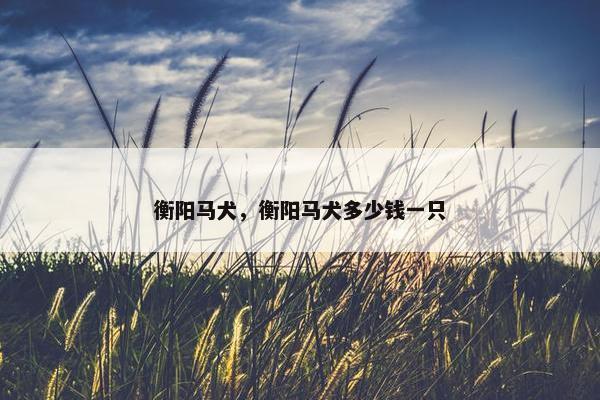 衡阳马犬，衡阳马犬多少钱一只