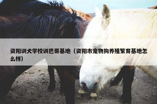 资阳训犬学校训巴哥基地（资阳市宠物狗养殖繁育基地怎么样）