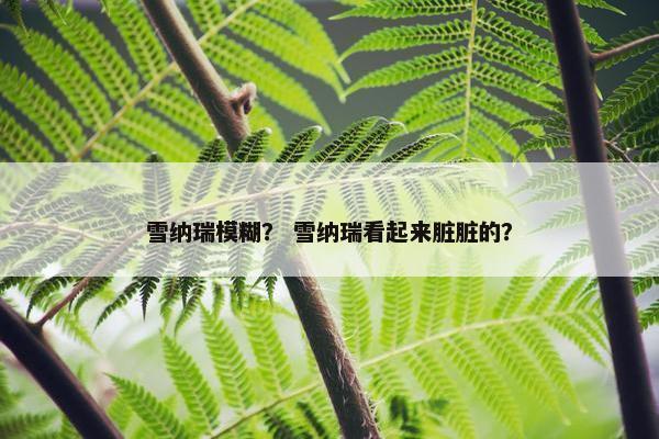 雪纳瑞模糊？ 雪纳瑞看起来脏脏的？