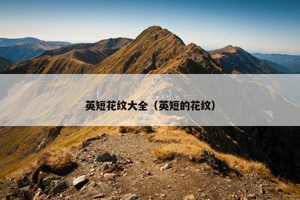 英短花纹大全（英短的花纹）