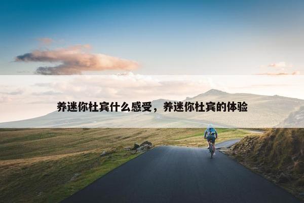养迷你杜宾什么感受，养迷你杜宾的体验
