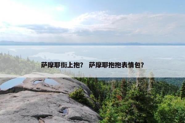 萨摩耶街上抱？ 萨摩耶抱抱表情包？