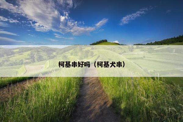 柯基串好吗（柯基犬串）