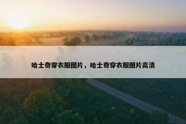哈士奇穿衣服图片，哈士奇穿衣服图片高清