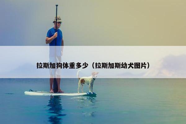 拉斯加狗体重多少（拉斯加斯幼犬图片）