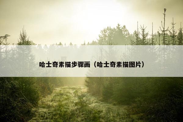 哈士奇素描步骤画（哈士奇素描图片）