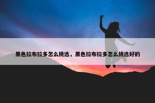黑色拉布拉多怎么挑选，黑色拉布拉多怎么挑选好的