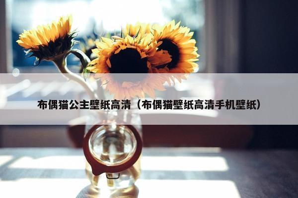 布偶猫公主壁纸高清（布偶猫壁纸高清手机壁纸）