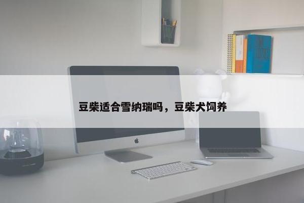 豆柴适合雪纳瑞吗，豆柴犬饲养