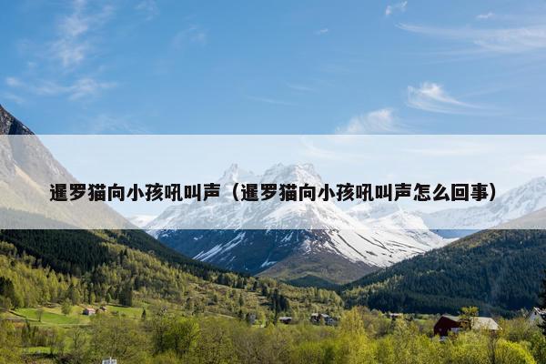 暹罗猫向小孩吼叫声（暹罗猫向小孩吼叫声怎么回事）