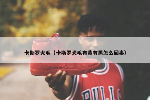 卡斯罗犬毛（卡斯罗犬毛有黄有黑怎么回事）