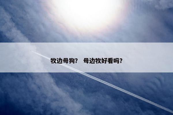 牧边母狗？ 母边牧好看吗？
