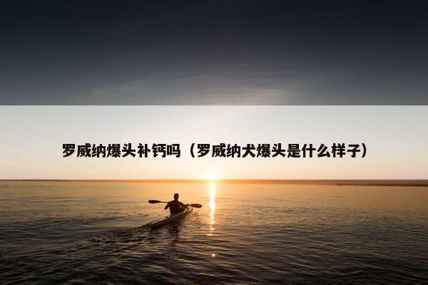 罗威纳爆头补钙吗（罗威纳犬爆头是什么样子）