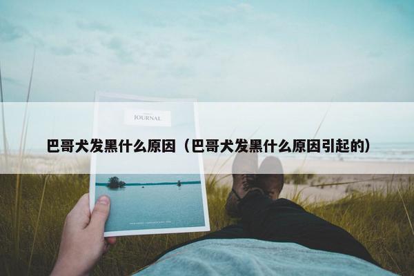 巴哥犬发黑什么原因（巴哥犬发黑什么原因引起的）
