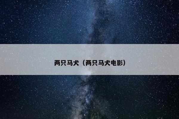 两只马犬（两只马犬电影）