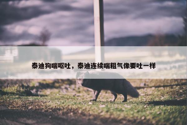 泰迪狗喘呕吐，泰迪连续喘粗气像要吐一样
