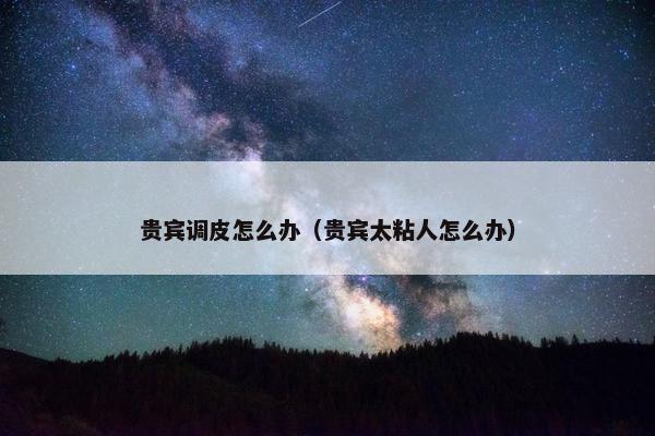 贵宾调皮怎么办（贵宾太粘人怎么办）