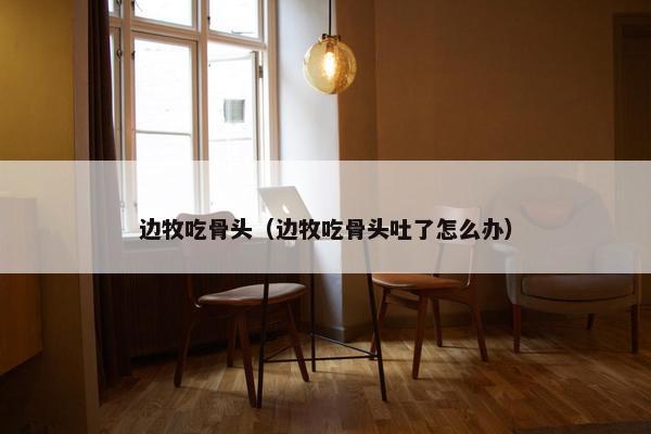 边牧吃骨头（边牧吃骨头吐了怎么办）
