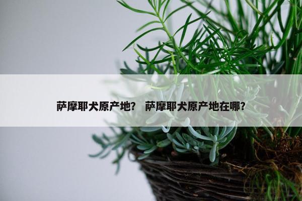 萨摩耶犬原产地？ 萨摩耶犬原产地在哪？