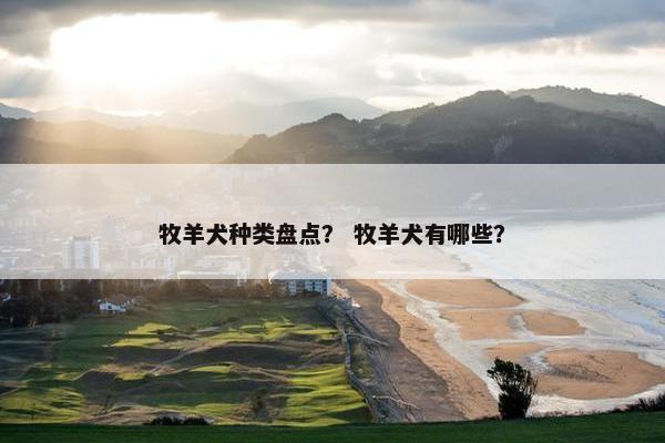 牧羊犬种类盘点？ 牧羊犬有哪些？