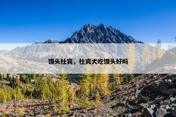 馒头杜宾，杜宾犬吃馒头好吗