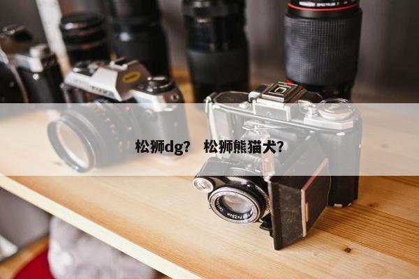 松狮dg？ 松狮熊猫犬？