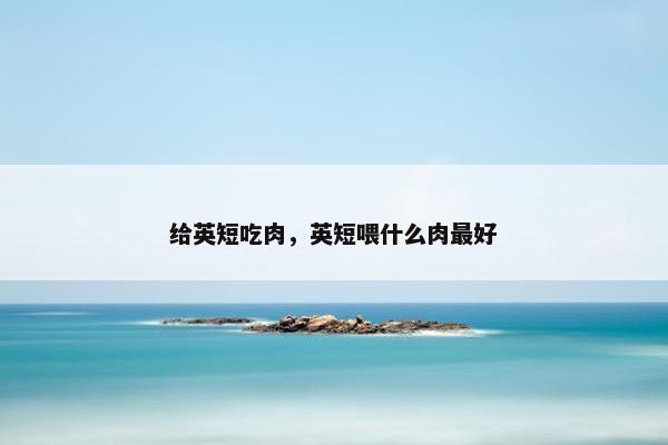 给英短吃肉，英短喂什么肉最好