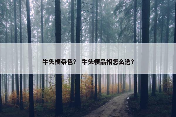 牛头梗杂色？ 牛头梗品相怎么选？