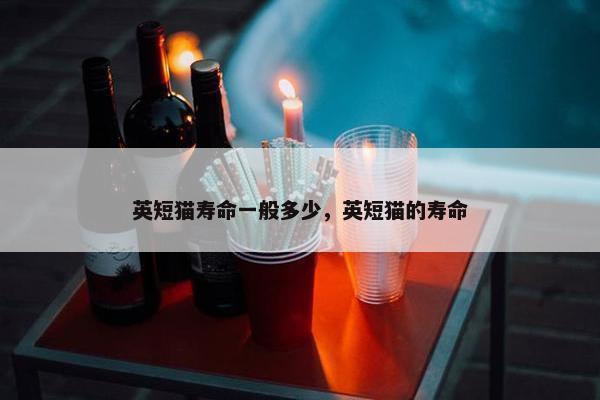 英短猫寿命一般多少，英短猫的寿命