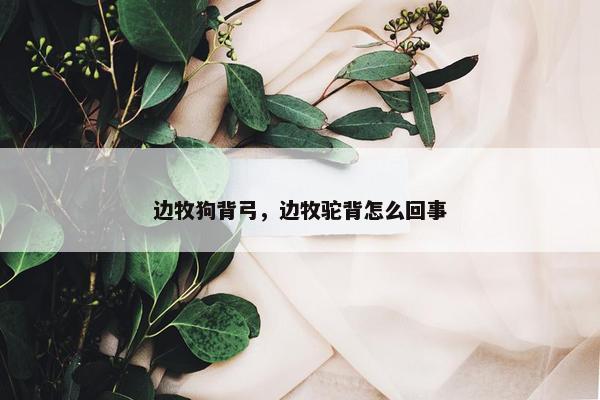 边牧狗背弓，边牧驼背怎么回事