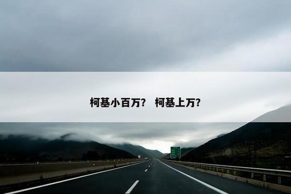 柯基小百万？ 柯基上万？