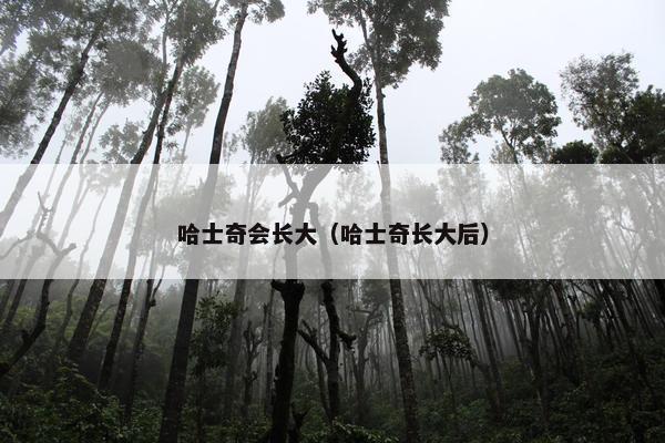 哈士奇会长大（哈士奇长大后）