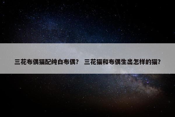 三花布偶猫配纯白布偶？ 三花猫和布偶生出怎样的猫？