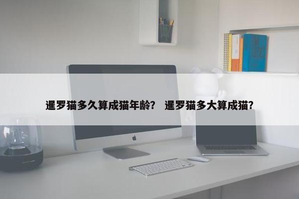 暹罗猫多久算成猫年龄？ 暹罗猫多大算成猫？